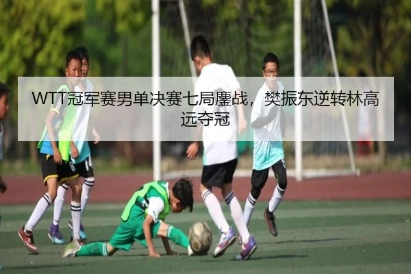 WTT冠军赛男单决赛七局鏖战，樊振东逆转林高远夺冠